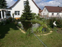 Im Vordergrung ein Gartenteich, dahinter ein Einfamilienhaus mit weisser Fassade