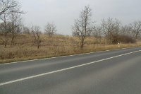 Im Vordergrung eine asphaltierte Strasse, dahinter etwas Gehölz und ein markanter Erdwall