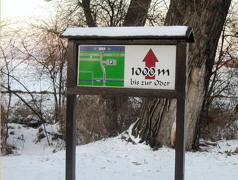Vogelsang
